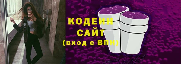 дурь Арсеньев