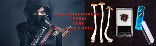 сатива Армянск