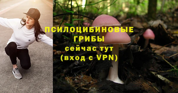 сатива Армянск