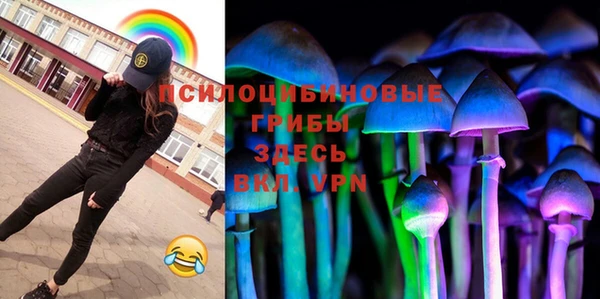 дурь Арсеньев