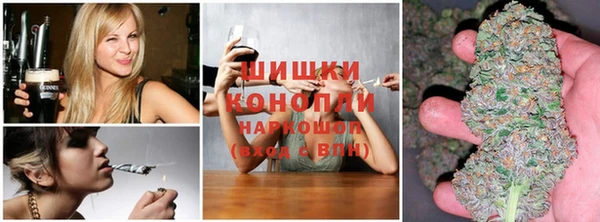 дурь Арсеньев