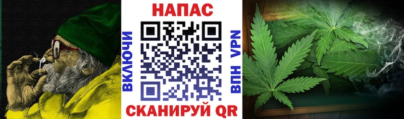 Марихуана сатива  что такое наркотик  Гаджиево 
